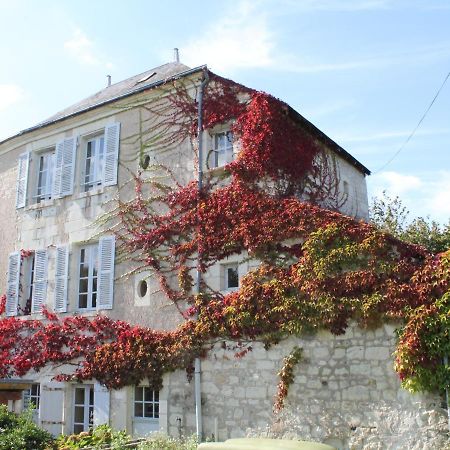 Villa Maison La Roche-Posay, 2 pièces, 3 personnes - FR-1-541-52 Extérieur photo